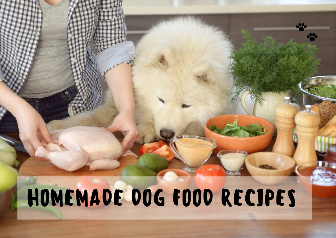 Vet Approved Homemade Dog Food Recipes For Kidney Disease