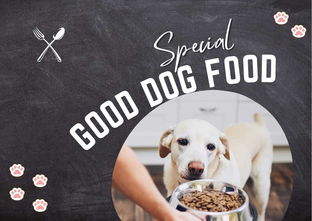 What Is A Good Dog Food